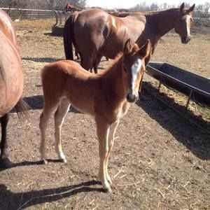 Meet your Posher, Marilyn